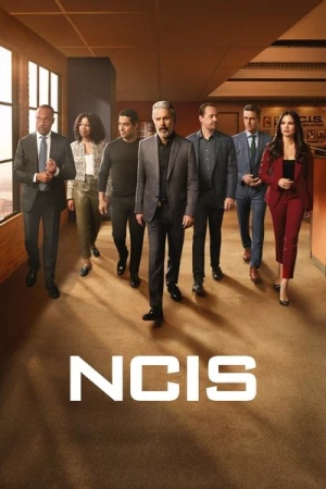  NCIS : Enquêtes spéciales - Saison 21 affiche 